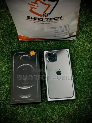 Apple iPhone 12 Pro Max 256GB (Used)