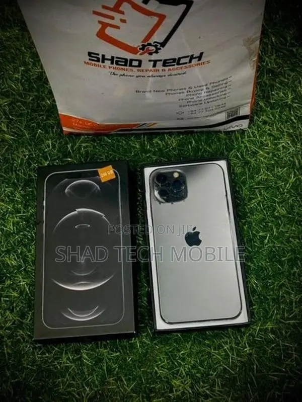 Apple iPhone 12 Pro Max 256GB (Used)