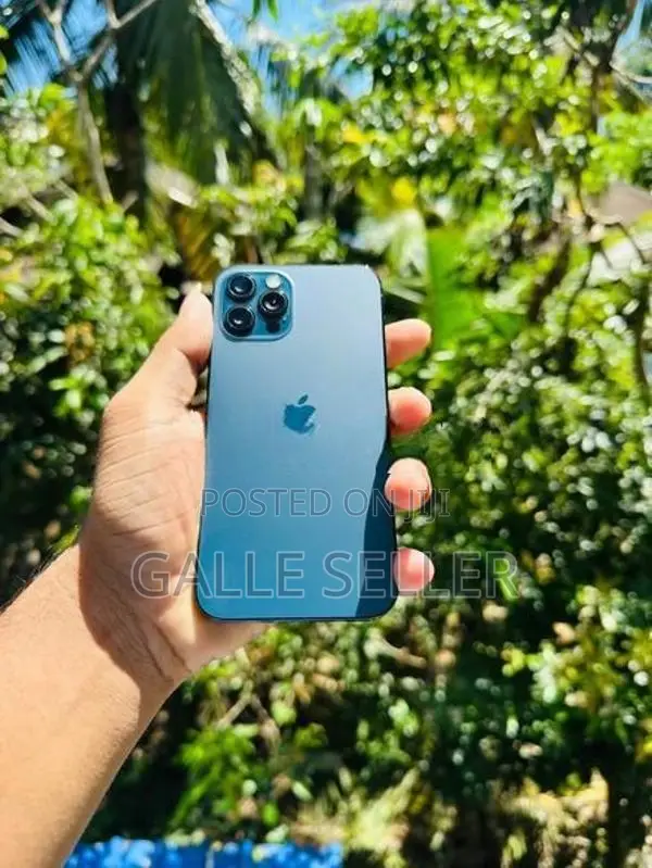 Apple iPhone 12 Pro (Used)