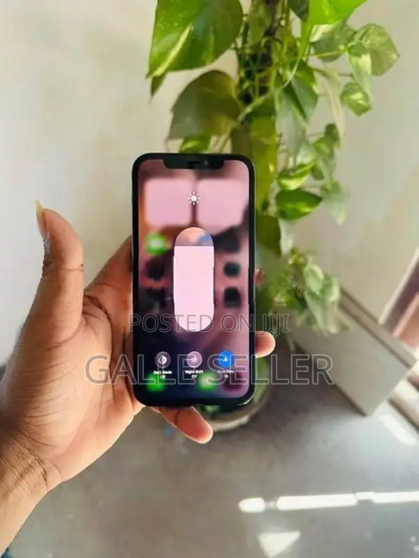 Apple iPhone 12 Pro (Used)