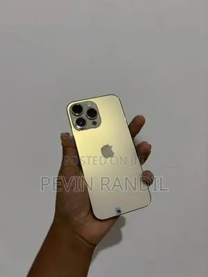 Apple iPhone 14 Pro Max (Used)