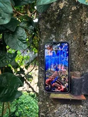 Apple iPhone 13 Pro (Used)