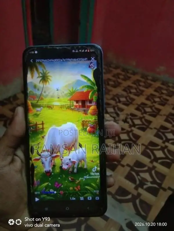 Vivo T1 (Used)