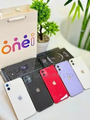 Apple iPhone 11 128GB (Used)