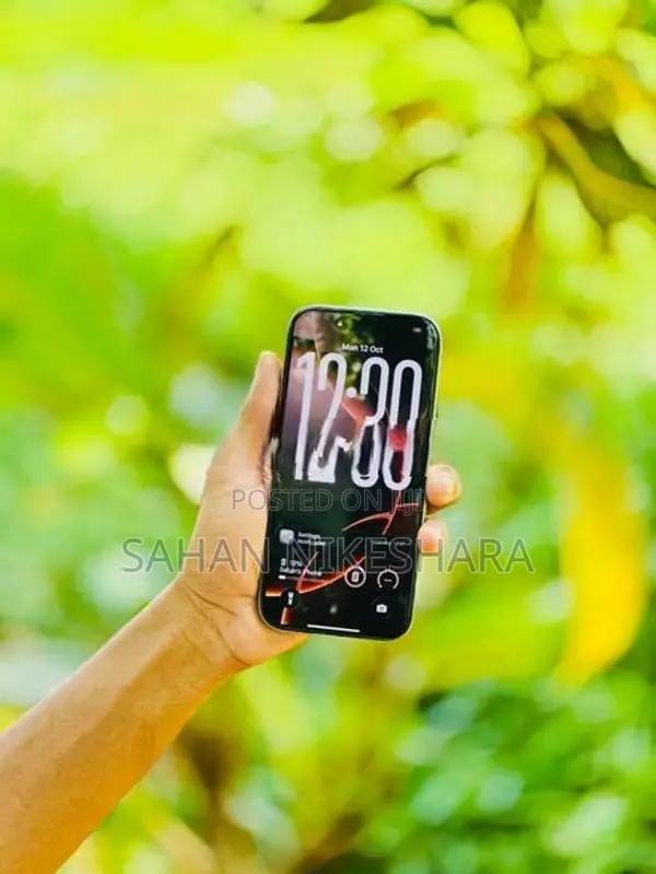 Apple iPhone 16 Pro (Used) - Price: Rs 236,000 on Jiji.lk [Ruwanwella]