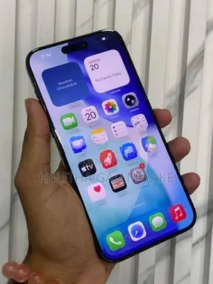 Apple iPhone 15 Pro Max 256GB (Used)