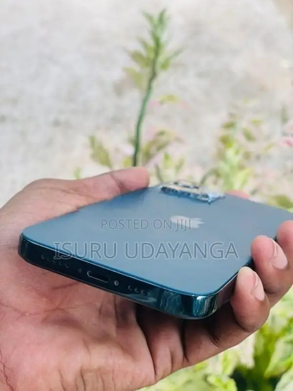 Apple iPhone 12 Pro (Used)