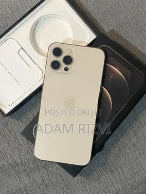 Apple iPhone 12 Pro Max (Used)
