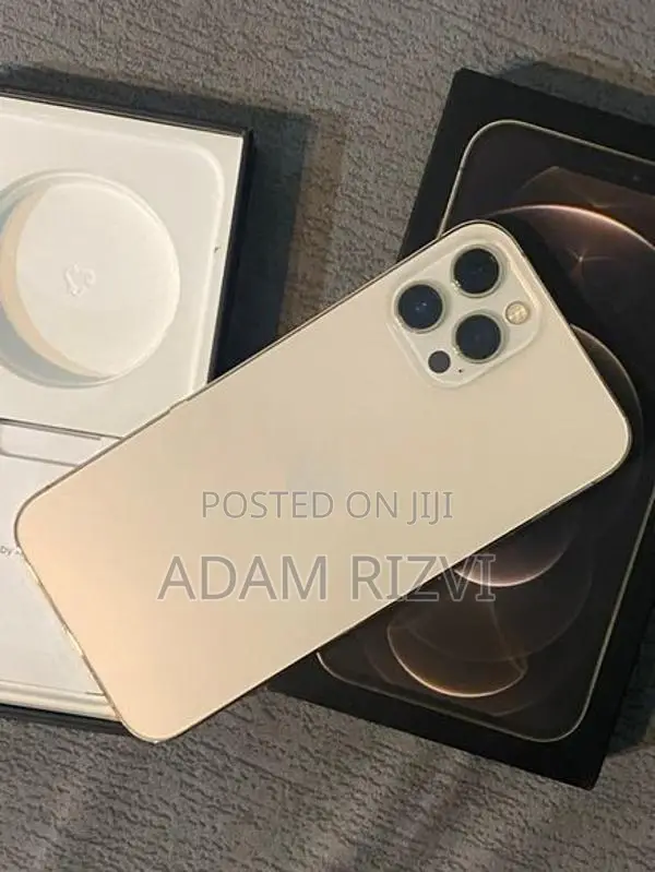 Apple iPhone 12 Pro Max (Used)