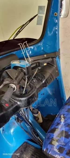 TVS King 2010 Three Wheel (Used)