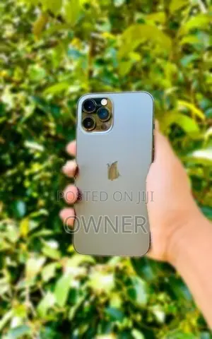 Apple iPhone 12 Pro Max (Used)