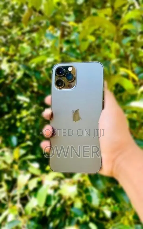 Apple iPhone 12 Pro Max (Used)