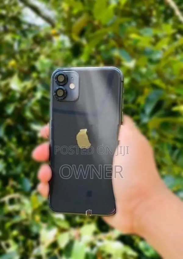 Apple iPhone 11 (Used)