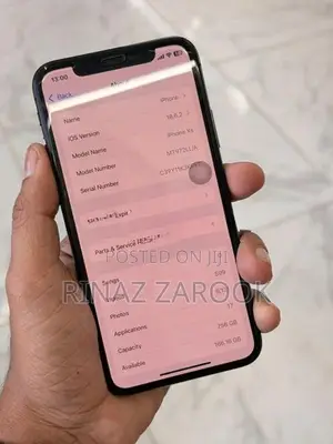 Apple iPhone XS 256GB (Used)