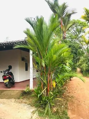 ඌරගස්මංහන්දිය පර්චස් 20 අංග සම්පුර්ණ නිවස සමග ඉඩම විකිනිමට In Bentota