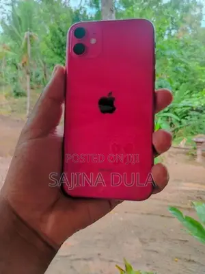 Apple iPhone 11 (Used)