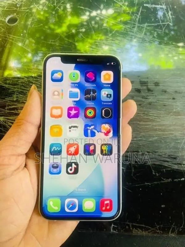 Apple iPhone 12 mini (Used)