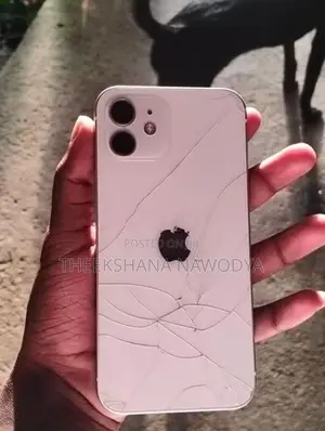Apple iPhone 12 (Used)