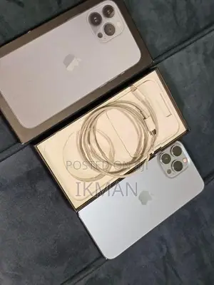 Apple iPhone 13 Pro Max (Used)