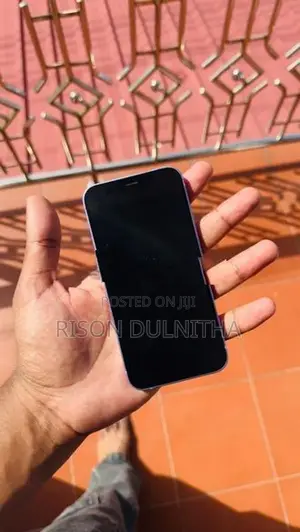 Apple iPhone 12 mini (Used)