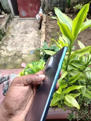 Vivo V60 (Used)