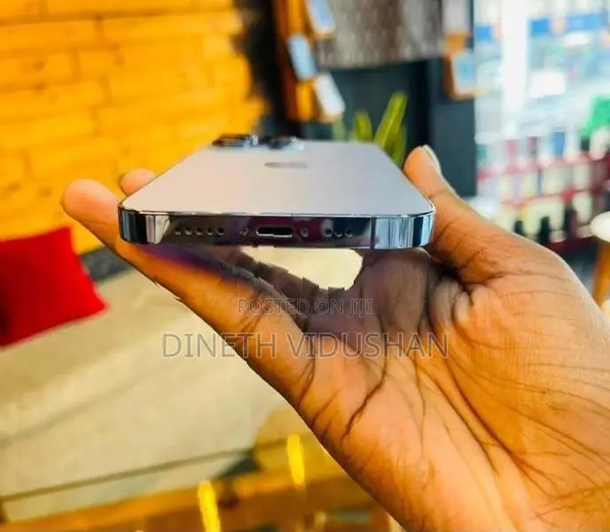 Apple iPhone 13 Pro (Used)