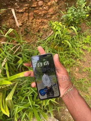 Apple iPhone X (Used)
