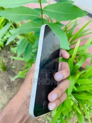 Apple iPhone 12 128GB (Used)