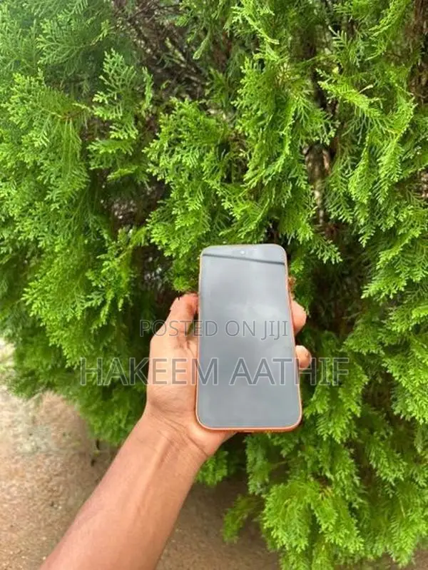 Apple iPhone 17 Pro Max (Used)