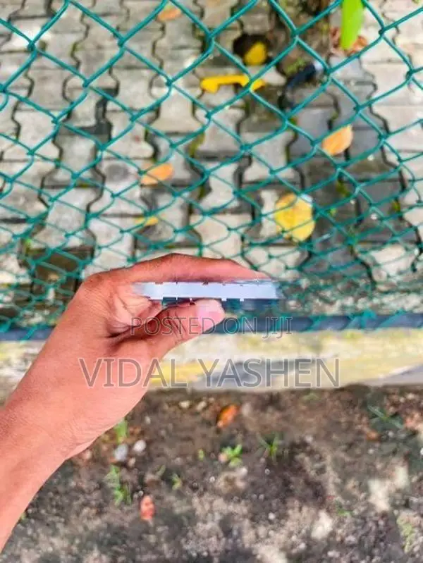 Apple iPhone 14 (Used)