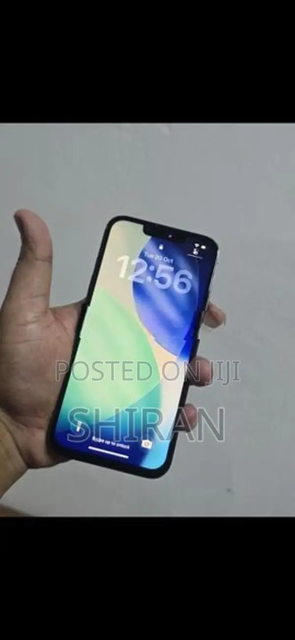 Apple iPhone 13 Pro (Used)