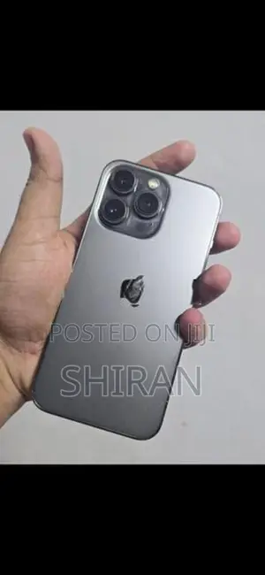 Apple iPhone 13 Pro (Used)