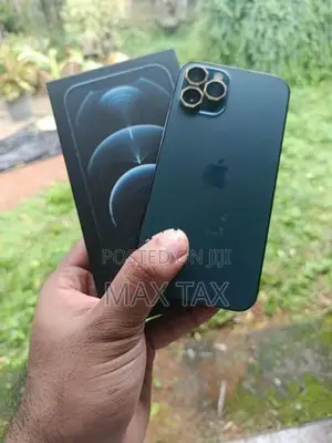 Apple iPhone 12 Pro (Used)