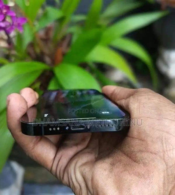 Apple iPhone 14 Pro (Used)