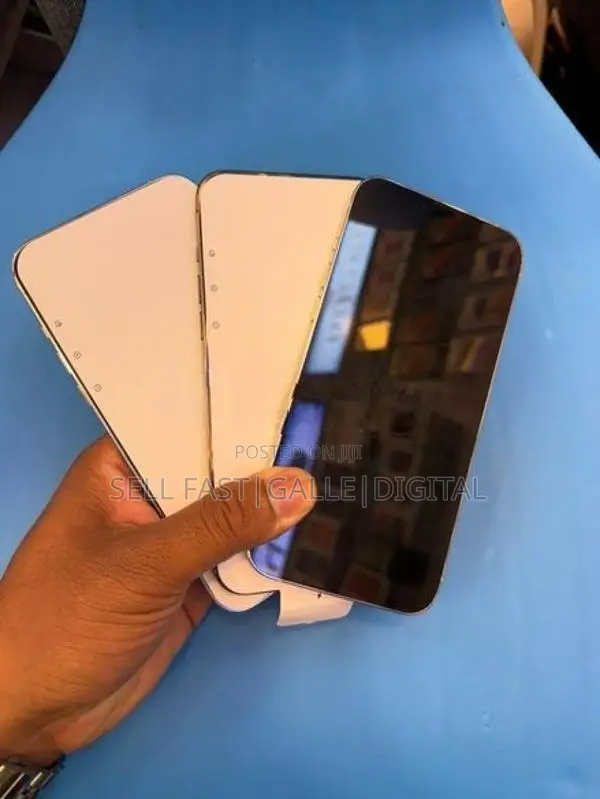 Apple iPhone 13 Pro Max (Used)