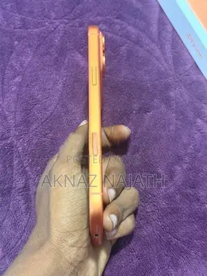 Apple iPhone 17 Pro Max (Used)