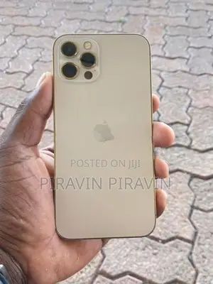 Apple iPhone 12 Pro (Used)