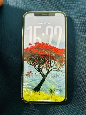 Apple iPhone 12 Pro (Used)