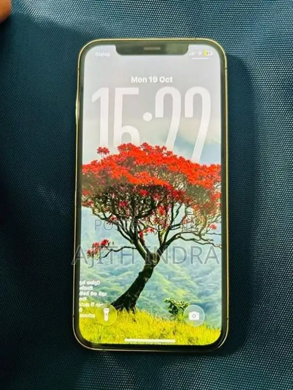 Apple iPhone 12 Pro (Used)