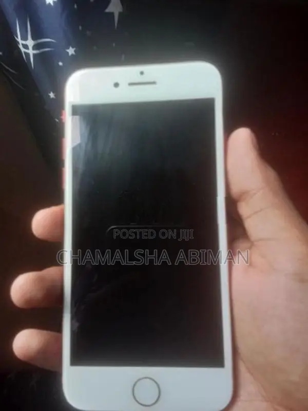 Apple iPhone 7 Edition (Used)