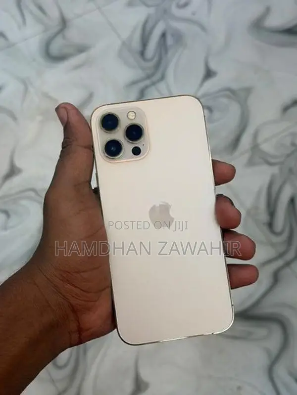 Apple iPhone 12 Pro Max 512GB (Used)