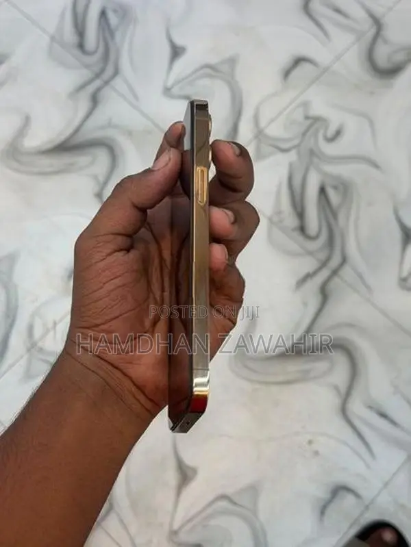 Apple iPhone 12 Pro Max 512GB (Used)