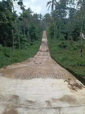 Valuable Land for Sale in Gelioya Meewaladeniya