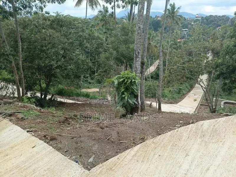 Valuable Land for Sale in Gelioya Meewaladeniya