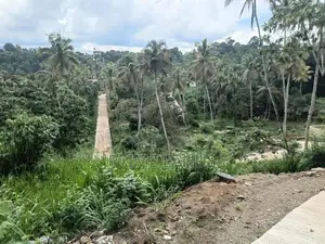 Valuable Land for Sale in Gelioya Meewaladeniya