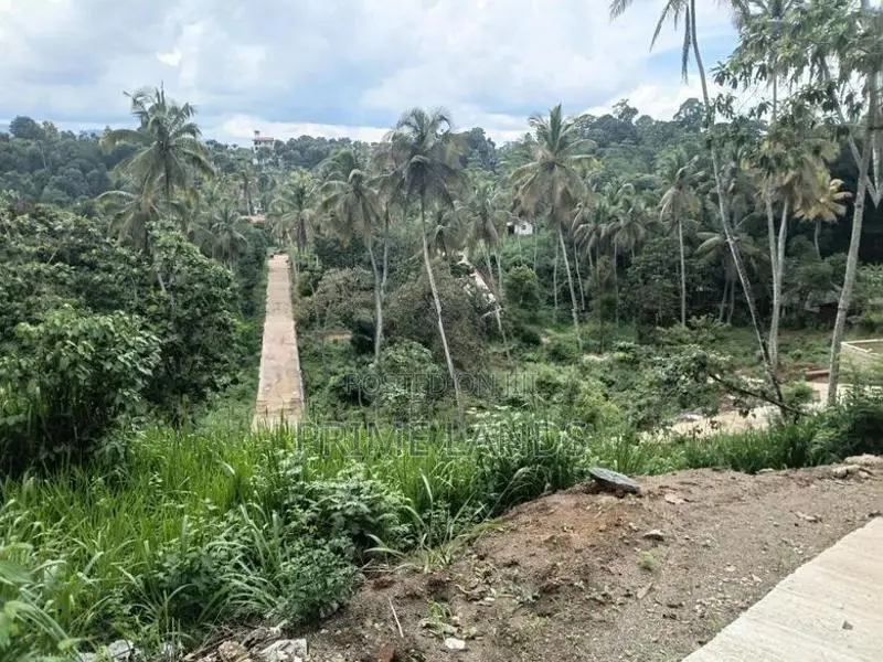 Valuable Land for Sale in Gelioya Meewaladeniya