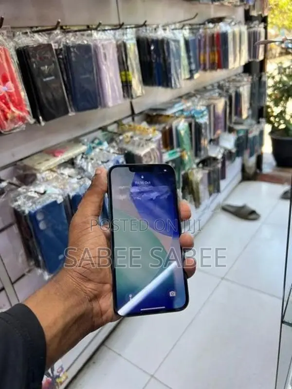Apple iPhone 13 (Used)