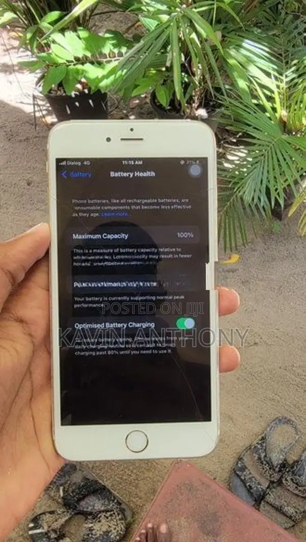Apple iPhone 6 Plus (Used)