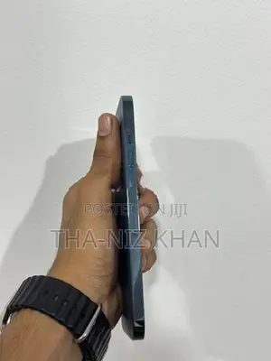 Apple iPhone 12 Pro Max (Used)