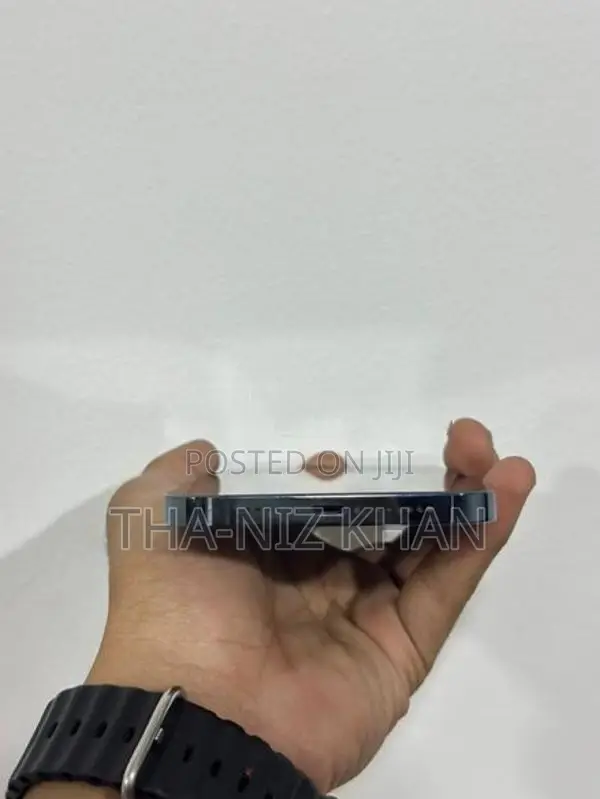 Apple iPhone 12 Pro Max (Used)